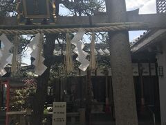 京都駅から五条近くの市比賣神社まで歩きました。