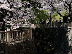 王子駅を出て、駅前から続く音無親水公園沿いに歩いて行く。
ここは、昔の石神井川の流路を利用した公園で、桜と紅葉の季節はとても綺麗なのだ。