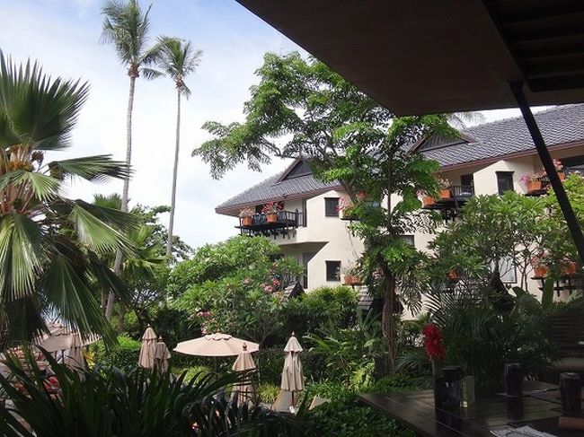 この日のランチは、ホテルのプール前にある<br />レストラン　フルムーンにて。