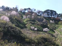 本丸と天守台まで山道を登ってみる。天気も良く、途中で桜も咲いていて、気持ちいいハイキング気分。