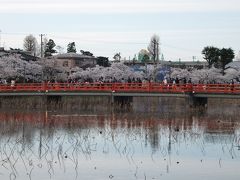 こちらは夏になると一面の蓮の花が咲くそうです。