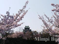 さて、環状線で、大阪城公園駅まで。
大阪城公園の桜も満開で、凄く沢山の人がお花見をしていました。
今回は、登城はしていません。
大阪城の桜は以前に見たことがあるし、なんせ敷地が広いため、時間がかかるのと、他の場所で歩く体力を温存しておきたかったから、お堀の外から見学のみ。