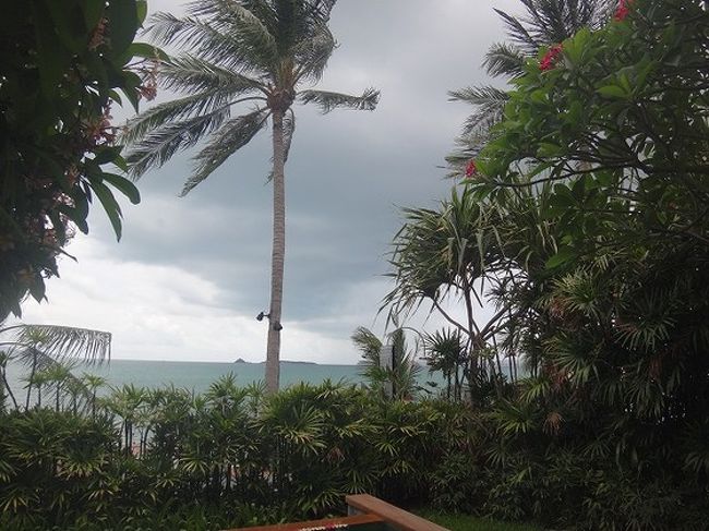 スコールが来そうな、変な天気。