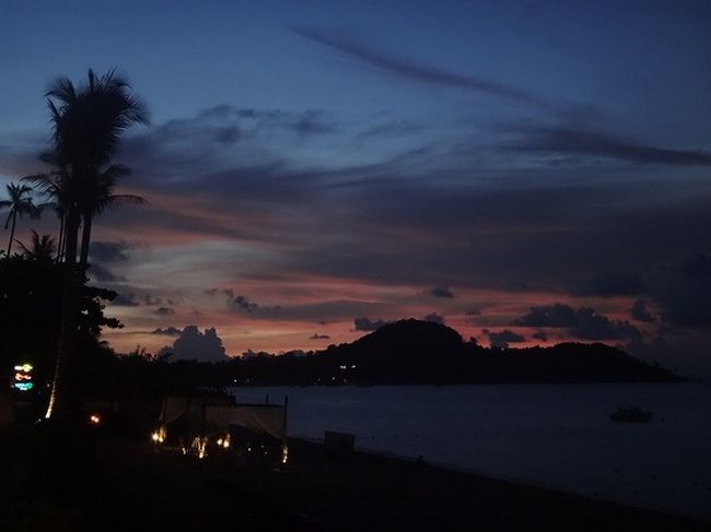 いい感じになってきた～