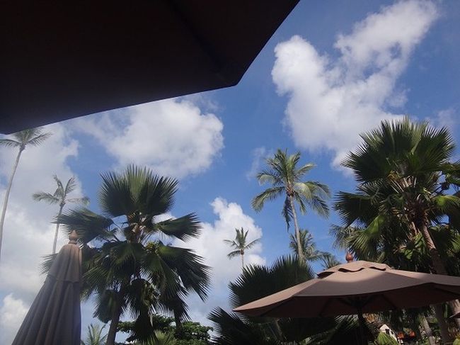 最後にのんびり。