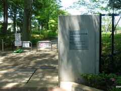 今までは東京都立石神井公園、ここからは練馬区立石神井松の風文化公園