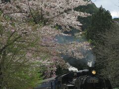 さらに北上を続けると、線路と道路は川向うに離れたり、再び並んだりと変化に富んでいて、クルマの流れに乗って走っていても、再びSLを追い越したのでした。

というわけで、田野口駅でご対面！
ここにはカメラマンが3人ほど並んでいましたが、後からでも余裕があったのでお邪魔しました。