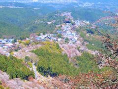 水分神社からすぐ、吉野一番の展望台、
花矢倉（はなやぐら）があります。
吉野千本桜と言えば、この眺めが有名。
ちょっと霞んでますけど
上千本、中千本と金峯山寺、
尾根沿いに広がる町がキレイに見えます。