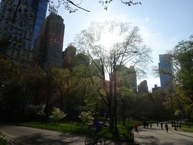 セントラルパーク。<br />帰国後にポケモンがめちゃくちゃ流行った。
