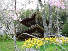 １０世紀はじめたの創建だそうです。