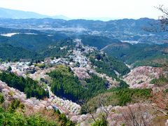 途中、上千本で花矢倉展望台からの眺め。
