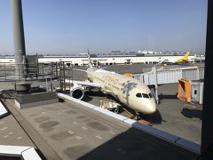 成田空港へ乗り継ぎ時間入れ、帰りは１１時間ほどで無事到着いたしました。
帰りはほとんど寝ることができて、あっという間の到着でした。

事故、怪我などトラブルなく今回も無事帰国できほっとしました。
お通じは良くなかったのですが、体調不良かったです。
しかし主人はエジプト肉硬くて奥歯が痛いといってました。
（日本に帰ってきたら直ったそうです）

