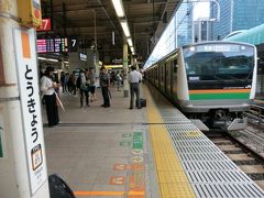 13:49
東京で下車。

①快速3526E アクティ.宇都宮行
品川.13:41→東京.13:49
[乗]JR東日本:クハE233-2006

※品川→東京:170円