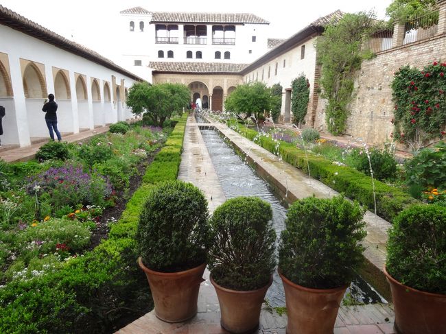 アルハンブラ宮殿。<br />意外と狭くてびっくり。<br />周辺の遺跡も併せると結構な広さだけどね。