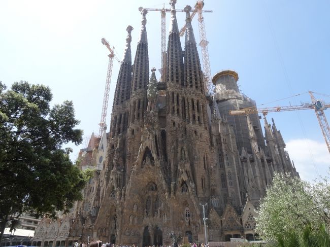 サクラダファミリア。すごすぎる。