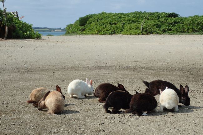 謎めいた新城島パナリ 幻の島と言われる浜島 ウサギが居るカヤマ島とシュノーケルポイントめぐり 小浜島 沖縄県 の旅行記 ブログ By こぼちゃさん フォートラベル