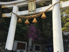 13:00　宝登山神社
ロープウェイには乗らず、歩きで下山しました。