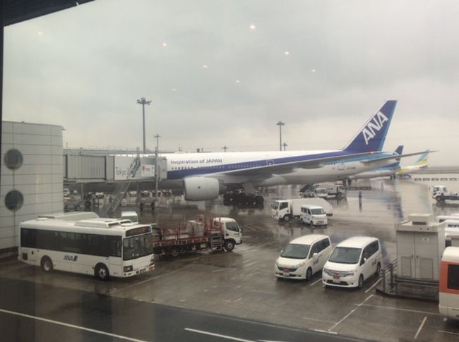 エコノミークラスでは長く感じた２時間超えの搭乗時間もプレミアムクラスだとあっという間！<br />急に決まった那覇旅行はヨガをしたり免税店に行ったり一人旅ならではの過ごし方ができて楽しかったな♪<br />また一人旅できますように！