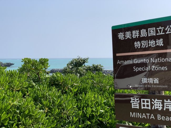 レジンアート 海の風景 与論島　百合が浜 レジンアート 海の風景 与論島 百合が浜 - メルカリ