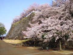 ホテルが甲府城に近かったので、甲府城を散歩して甲府駅へ行くことに。信玄祭の準備で朝早くから賑やかでした。