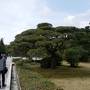 春の紀伊半島　伊勢神宮　串本　高野山