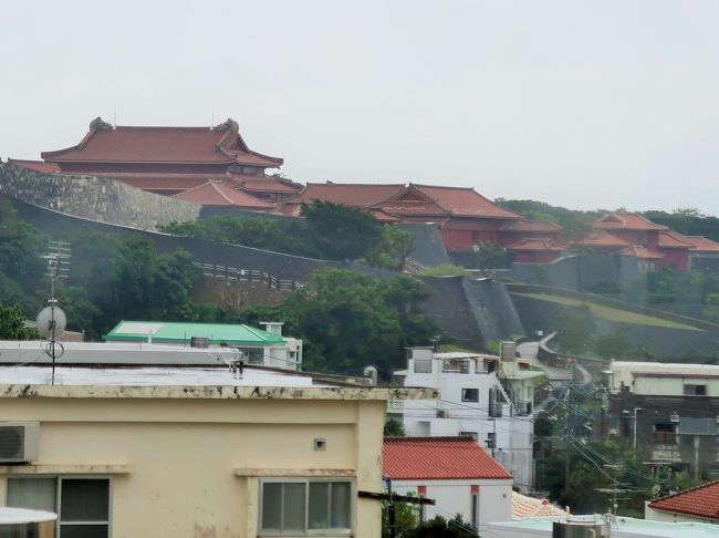 沖縄22 首里駅⇒首里城公園入口(首里杜館）歩いて20分 ☆龍潭/池