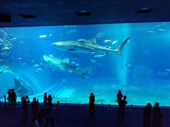 18:30　美ら海水族館に到着。

車は水族館に一番近い、P7北駐車場に駐車。無料です。

閉館1時間半前だからチケット売り場には誰もいません。
16:00からのチケット￥1290を払って中へ。

館内はガラガラなので、ゆっくり見てまわれました。
見どころの大きなジンベエザメの水槽も写真に写っている人程度しかいなかったので、ベストショットを撮るべく撮影しまくりました。

19:30　満足したので水族館出口のお土産屋（ブルーマンタ）へ。

