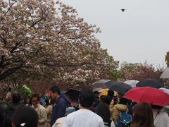 天満橋で待ち合わせをした友と合流して通り抜けへ。

造幣局の通り抜けは、JRの桜ノ宮からも行くことが出来ますが、京阪電車の天満橋から向かうのがおすすめ。

天気がぱっとせず、傘の花が咲いています。