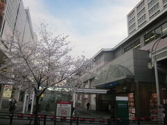 名古屋の桜１６。

藤が丘駅傍の桜。
因みに、地下鉄の藤が丘駅は、この辺りでは地上の高架駅となっていますね。寧ろ、リニモの藤が丘駅の方が地下駅になっている逆転現象が面白い…(;^ω^)。