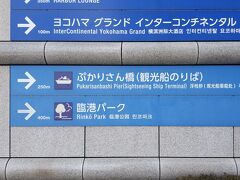 去年12月に購入した車を運転し、今日は横浜までやって来ました。