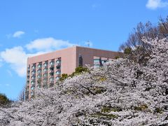 桜とホテルのコラボレーション