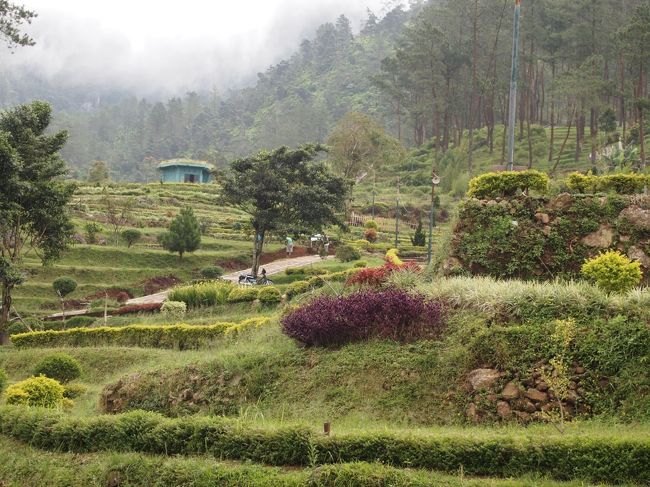 歩き始めてみると、石畳の道は最初だけで、後は未舗装の道を看板に沿って登っていくことになる。ちなみに、一周は5kmくらいありそうで、持ってきたパンで途中お昼にするのが楽しみになった。