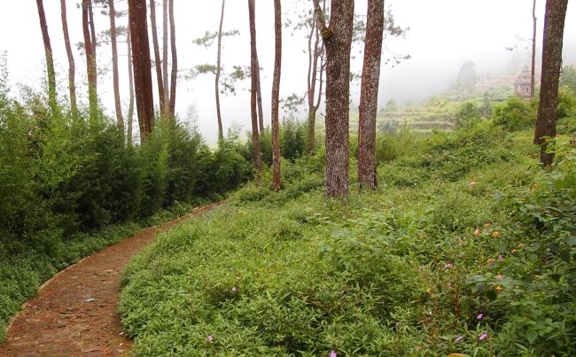 遺跡は分散しているので、更に登っていく。途中に、峠の茶屋みたいな休憩場所が有って、スナックや飲み物を売っていましたが、まだ早い時間だったせいか、横になっている売り子さんもいました。