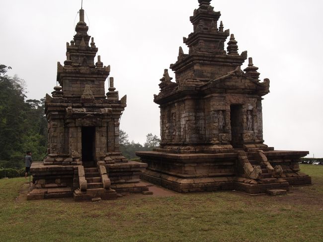 こちらは、同系統が並んでいます。ばらばらに点在しているのと、まとまっているのと、意味合いが異なるのでしょうが、素人にはわかりません。只々、眺めるだけです。