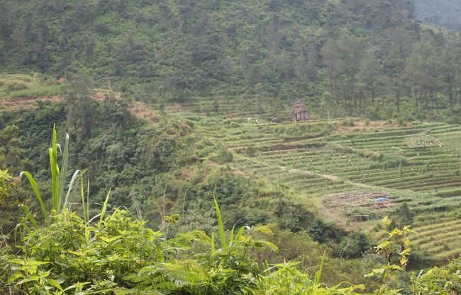 さて、途中で休んで、持って来たパンでお昼にします。流石に高原です。涼しく流れてくる風が、汗をさらってくれます。食べたら町に戻って、旧市街地観光です。