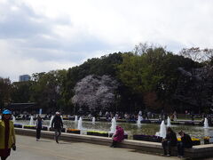 科学博物館は、恩賜公園の中にあるんだそうです。知らなかった(・・;)
公園内は花見客と観光客で大にぎわいです♪