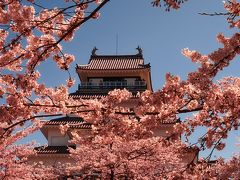 鶴ヶ城桜まつり

桜（ソメイヨシノ）は満開。
お城の中では、シ－トを広げ数多くの浜見をする人で超満員状態。
鶴ヶ城と桜をと思い撮影スポットを探す。