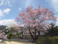 お祭り会場から降りてきました