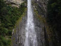 高さ133ｍの那智大滝。原生林に囲まれた断崖を一気に落ち行く様は、まさに神宿る霊場の滝と言った感じでした。