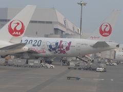 機内からまだ駐機していた
東京オリンピックのキャラクターが描かれた機材を
撮影しました
「みんなのJAL2020ジェット」
開催500日前の３月１２日から就航しています