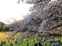 根岸森林公園