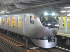 所沢駅にやってきました
西武鉄道の新型特急Laviewです
ここ所沢から西武新宿線で東村山へ､西武国分寺線で小川へ､西武拝島線で拝島へ