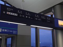 この日は強風の影響で、Delayの放送があったけど、定刻でした。