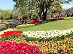 チューリップガーデンが素敵すぎる 昭和記念公園 フラワーフェスティバル19 立川 東京 の旅行記 ブログ By まーやんさん フォートラベル