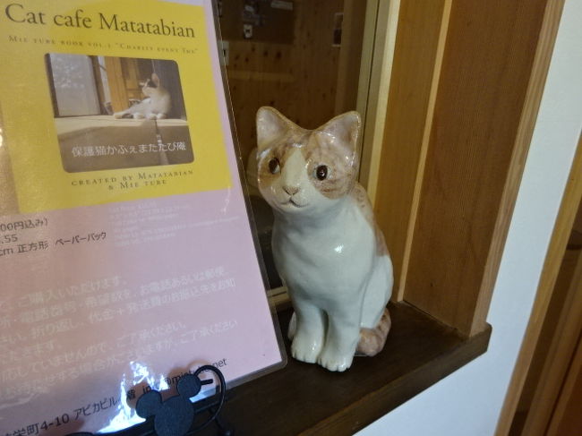 湯の山菰野富士登山 保護猫カフェままたび庵とアクアイグニクス 湯の山温泉 御在所 三重県 の旅行記 ブログ By 三毛猫美花さん フォートラベル 湯の山菰野富士登山 保護猫カフェままたび庵とアクアイグニクス 湯の山温泉 御在所 三重県 の旅行記 ブログ By 三毛猫美花さん フォートラベル