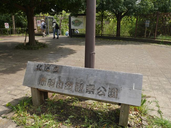 赤羽駅から巡る健康ウォーキングコース 駅からハイキング 赤羽 東京 の旅行記 ブログ By オカンカンさん フォートラベル 赤羽駅から巡る健康ウォーキングコース 駅からハイキング 赤羽 東京 の旅行記 ブログ By オカンカンさん フォートラベル