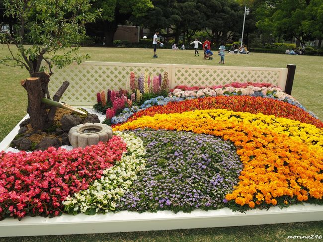 横浜公園のチューリップ 山下公園の花壇展 横浜 神奈川県 の旅行記 ブログ By Morino296さん フォートラベル 横浜公園のチューリップ 山下公園の花壇展 横浜 神奈川県 の旅行記 ブログ By Morino296さん フォートラベル