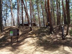 麓近くに林城跡。石垣など分かりやすい遺構は見当たりませんでした。