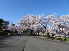 20分ほど歩いて城山公園に到着。公園までは急な坂道で結構大変でした。