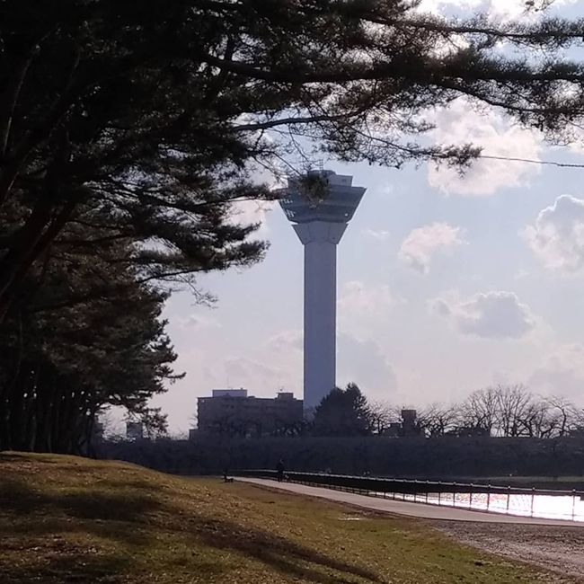 引っ越しも落ち着き、初めて五稜郭の外周をお散歩してみました。